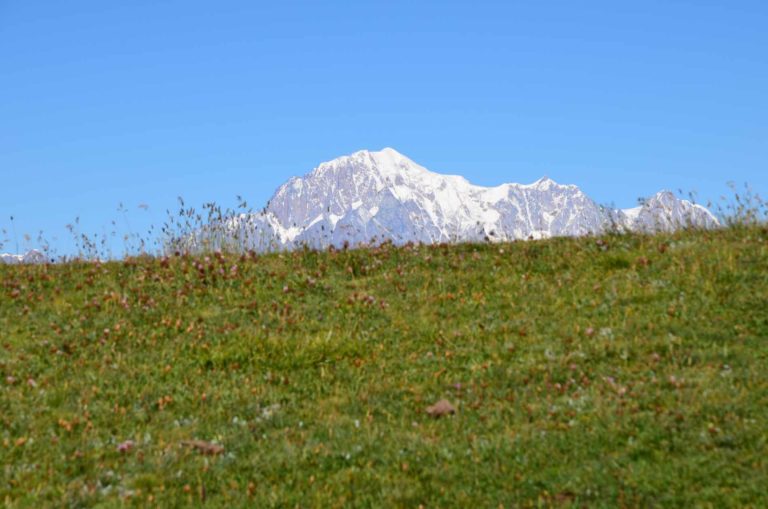 rifugio arbolle