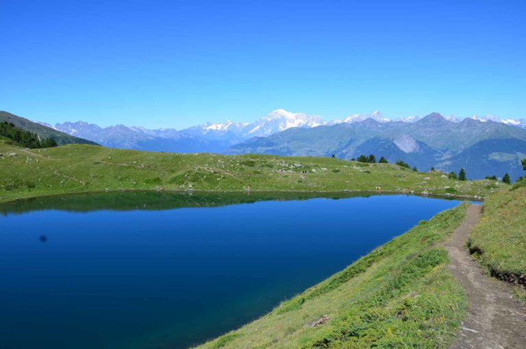 rifugio arbolle