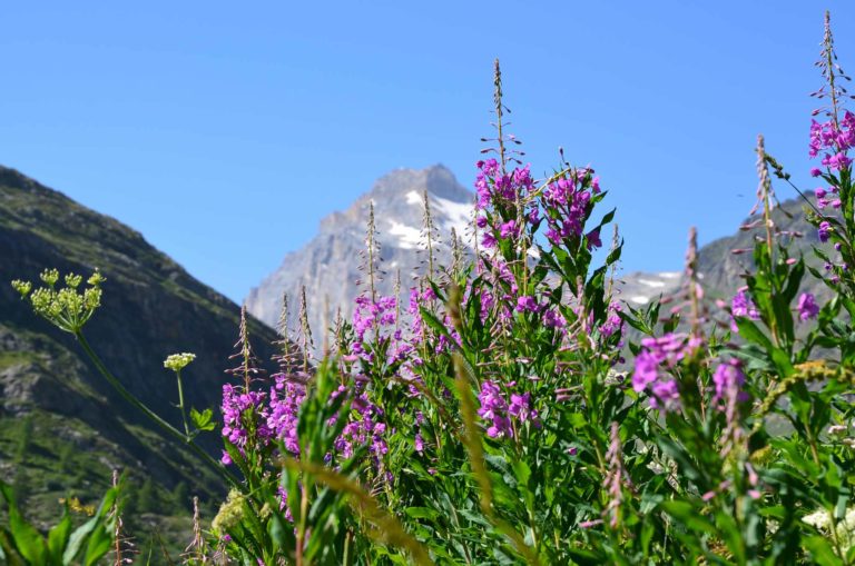 valle di rhemes rifugio benevolo