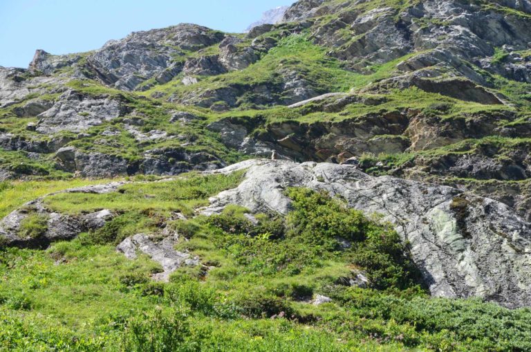 valle di rhemes rifugio benevolo