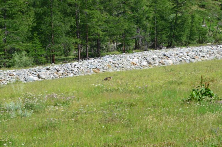 valle di rhemes