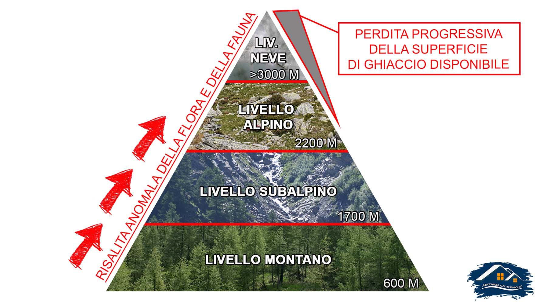 piramide cambiamento climatico nelle zone montane