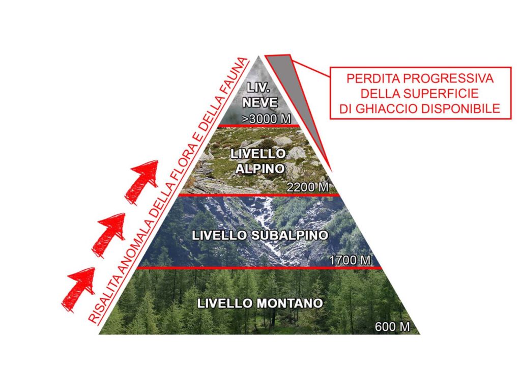 cambiamenti climatici monte bianco