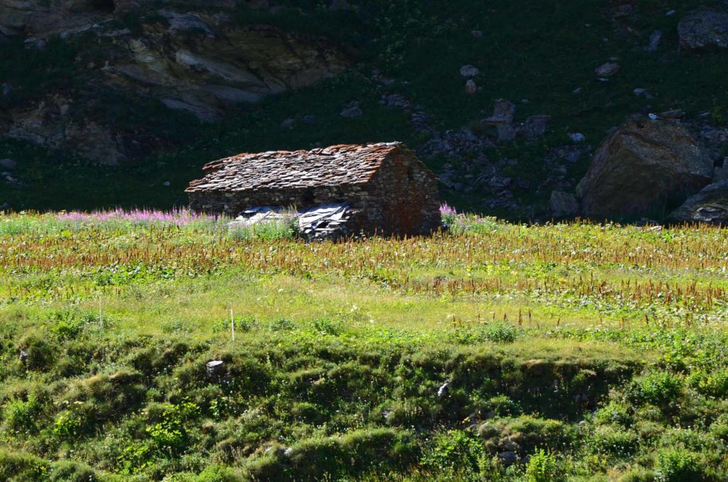 rifugio mario bezzi valgrisenche