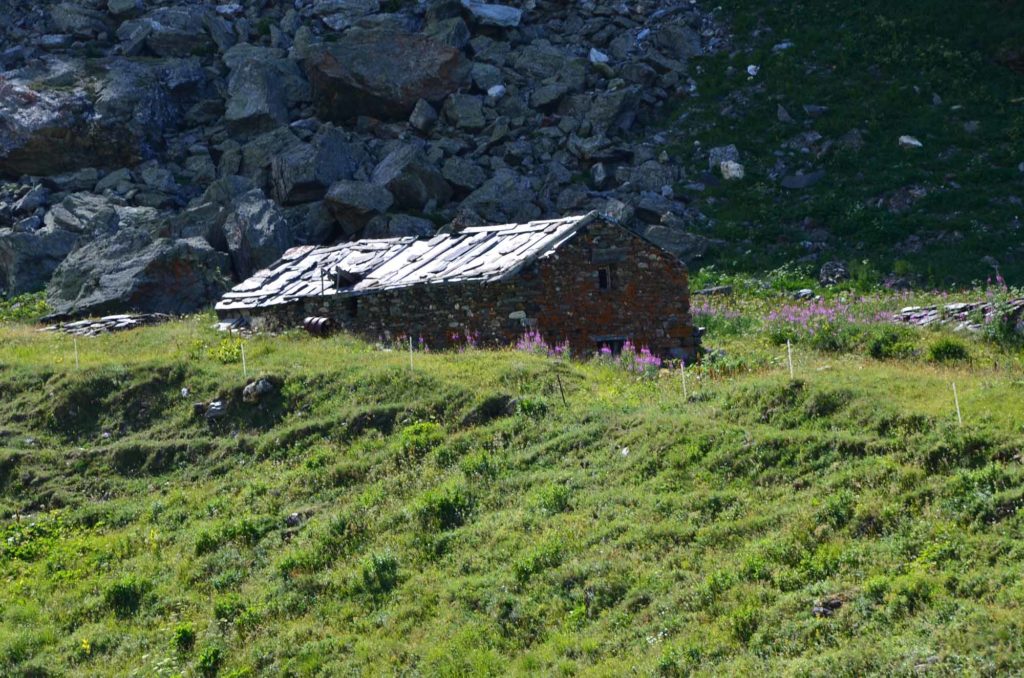 rifugio mario bezzi valgrisenche