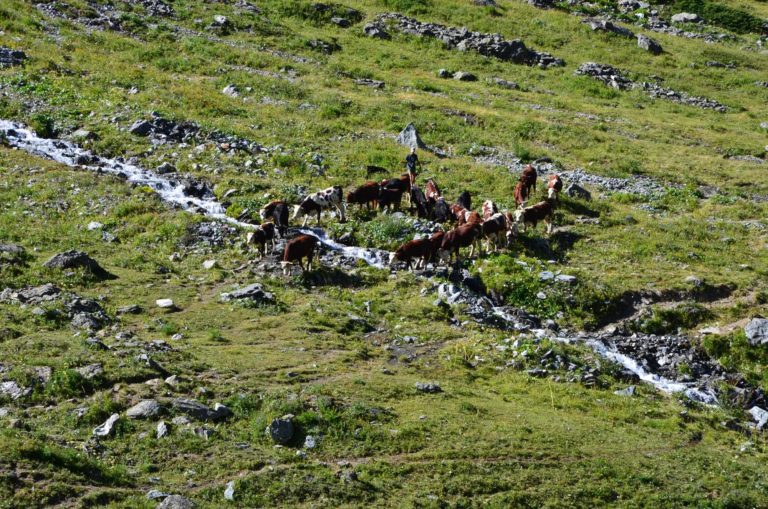 rifugio mario bezzi valgrisenche