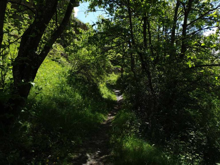 sentiero nel bosco castello di chatelard