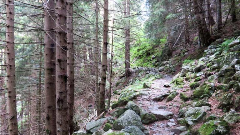 rifugio luigi gianetti valtellina