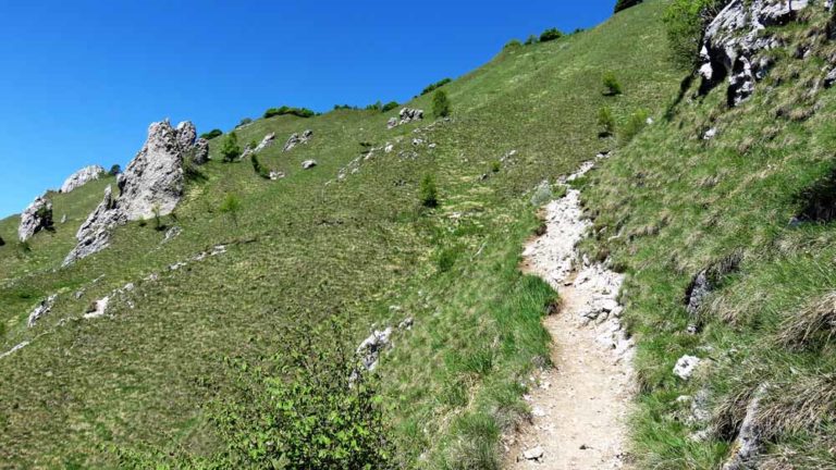 rifugio rosalba cresta segantini