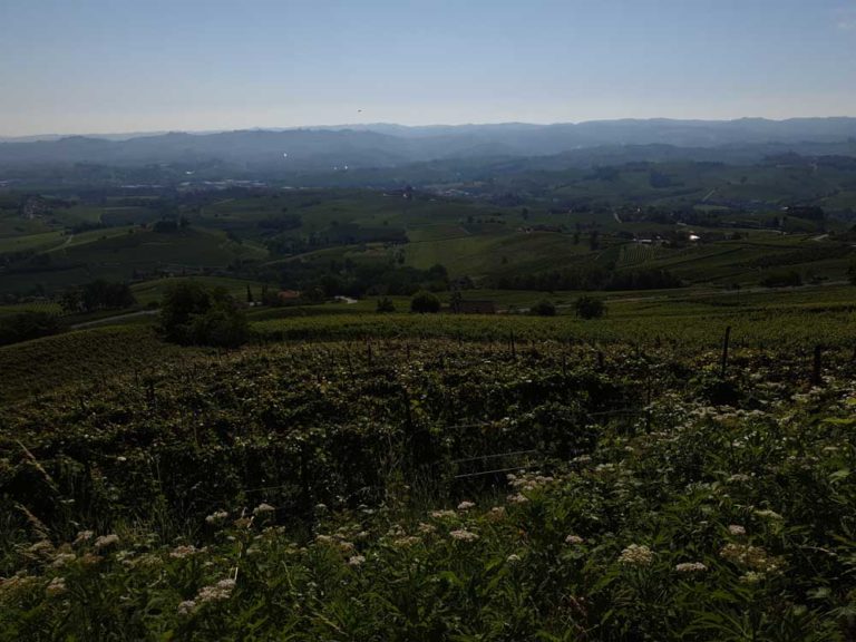 la morra langhe sentiero numero 7 roero