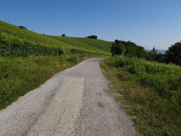 la morra langhe sentiero numero 7 roero