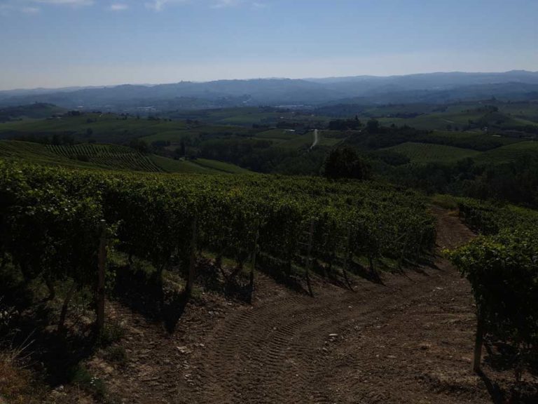 la morra langhe sentiero numero 7 roero