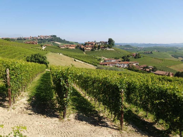 la morra sentiero numero 7 langhe roero