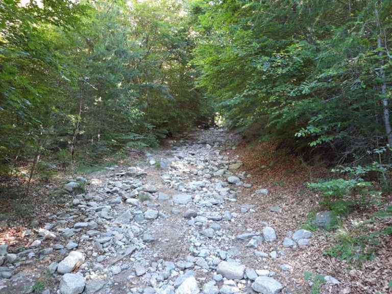 monte berlinghera como