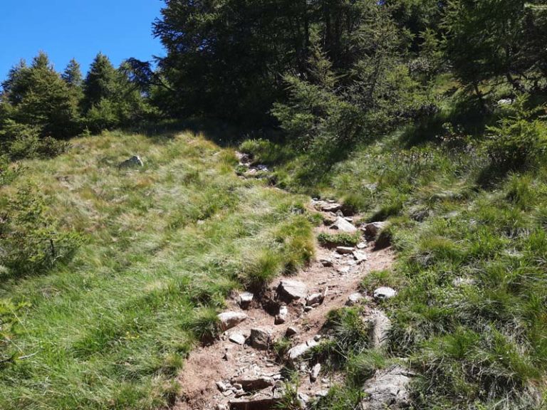 monte berlinghera como