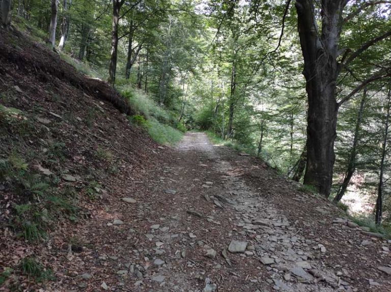 monte falò tre montagnette