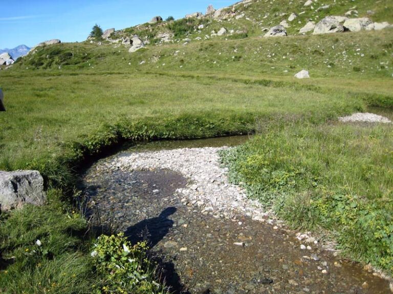 rifugio arp