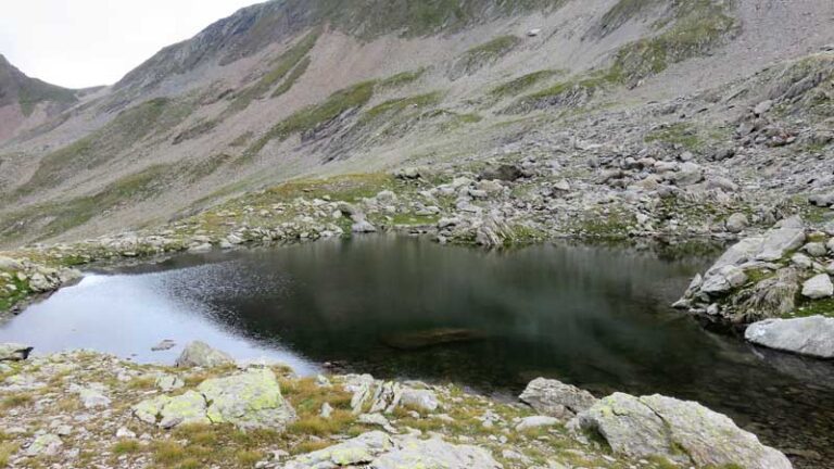 passo torsoleto