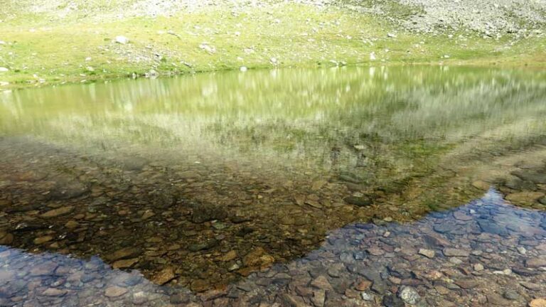 passo torsoleto