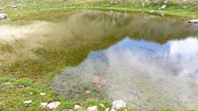 passo torsoleto