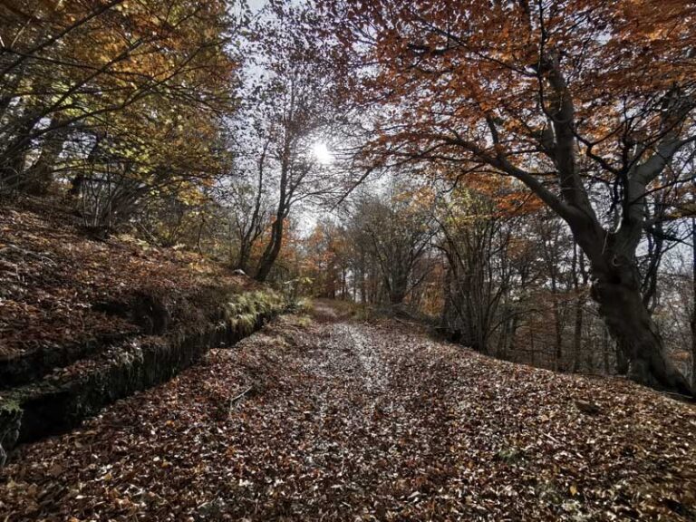 monte piambello