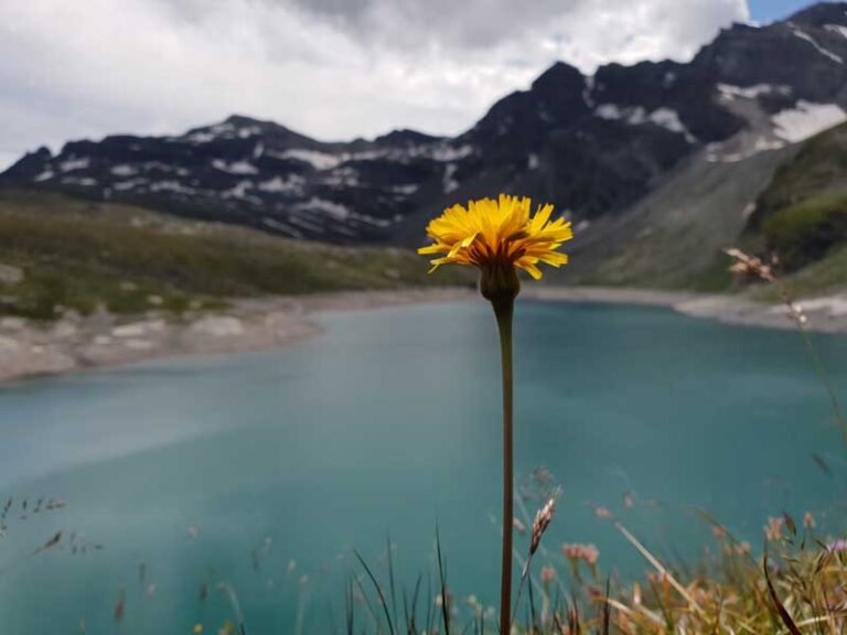 lago davino