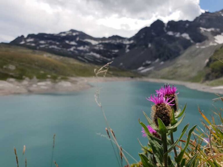 lago davino