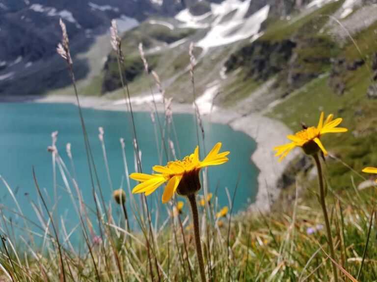 lago davino