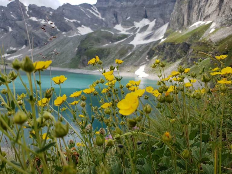 lago davino