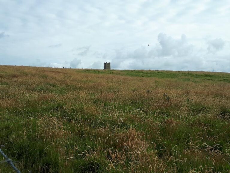 Marwick Head
