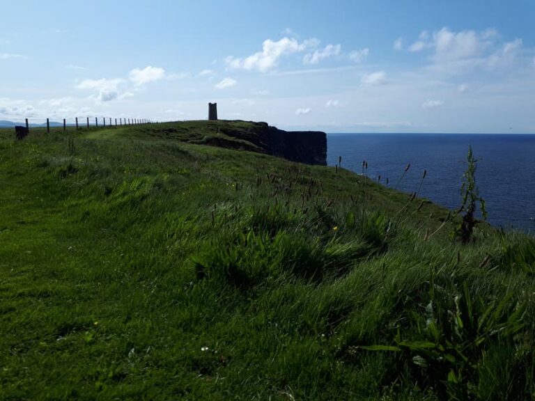 Marwick Head