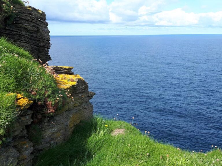 Marwick Head