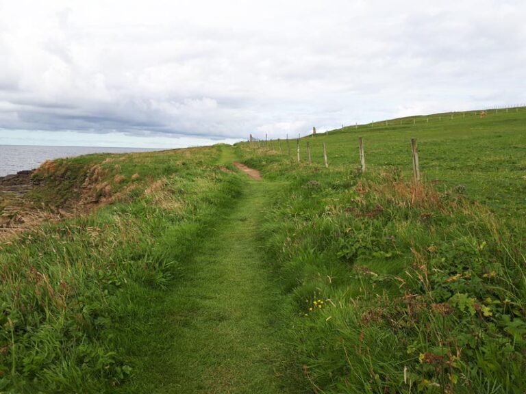 Marwick Head