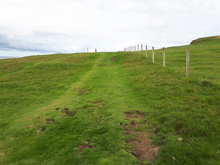 Marwick Head