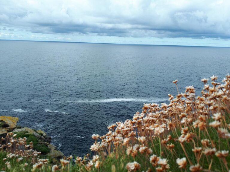 Marwick Head