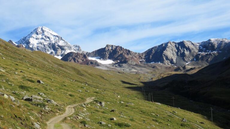 Pizzini col Gran Zebrù