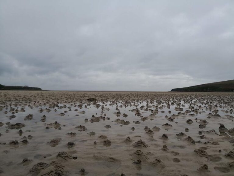 waulkmill bay