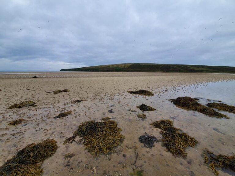 waulkmill bay