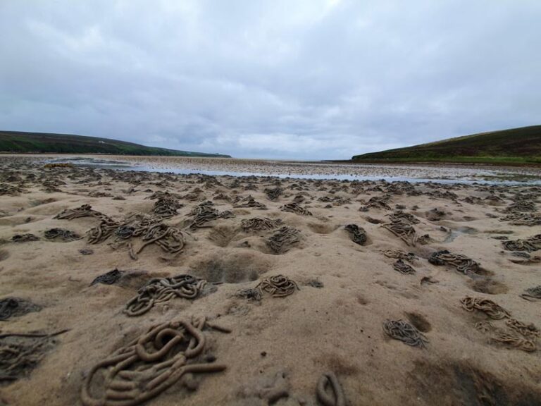 waulkmill bay