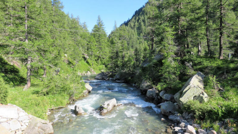 Torrente Carrasca