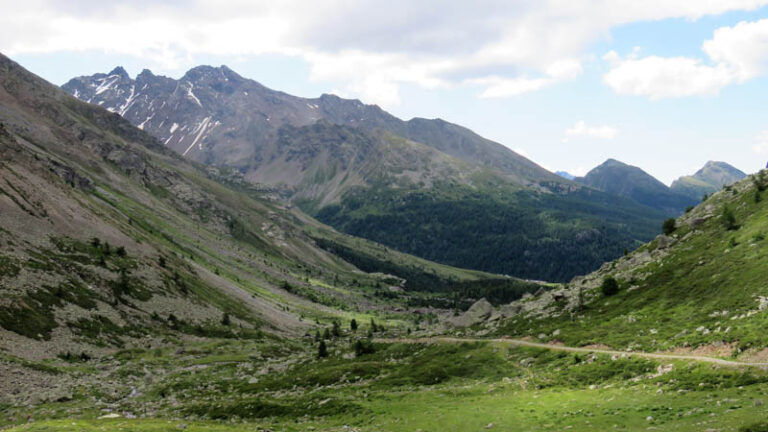 cime di Redasco