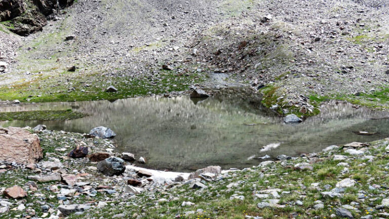 acqua di fusione