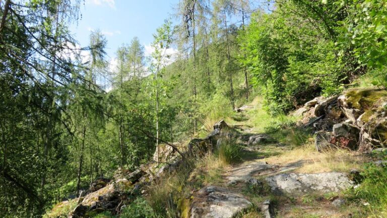 rifugio bosio galli