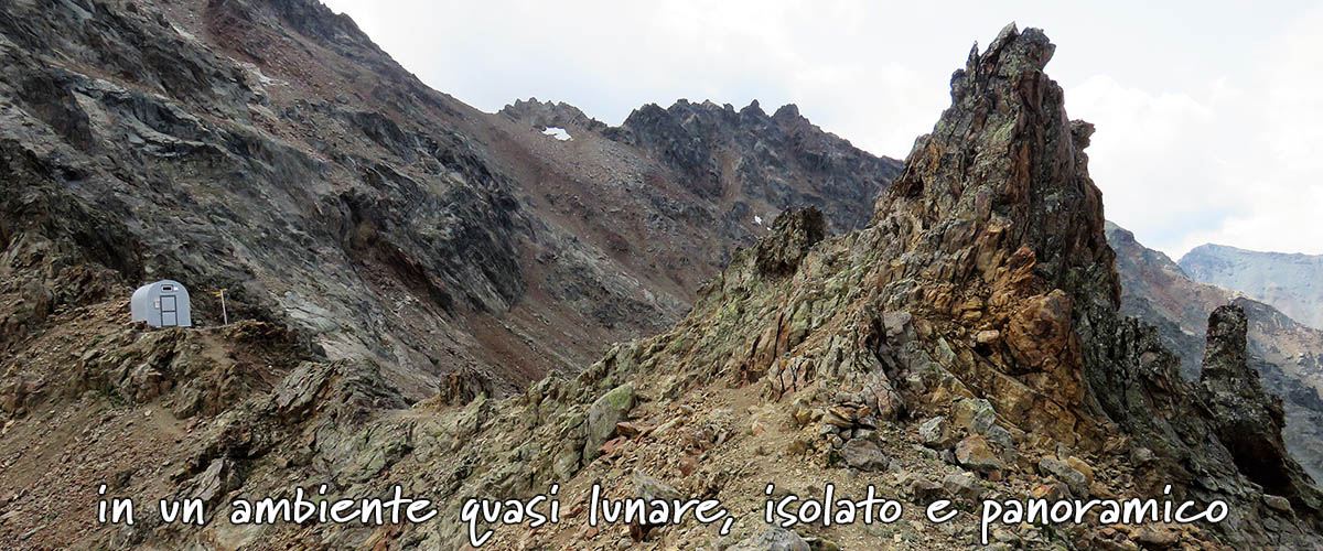 bacca di nonna valle centrale