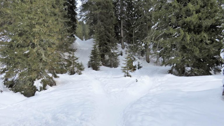 rifugio alpe nemes