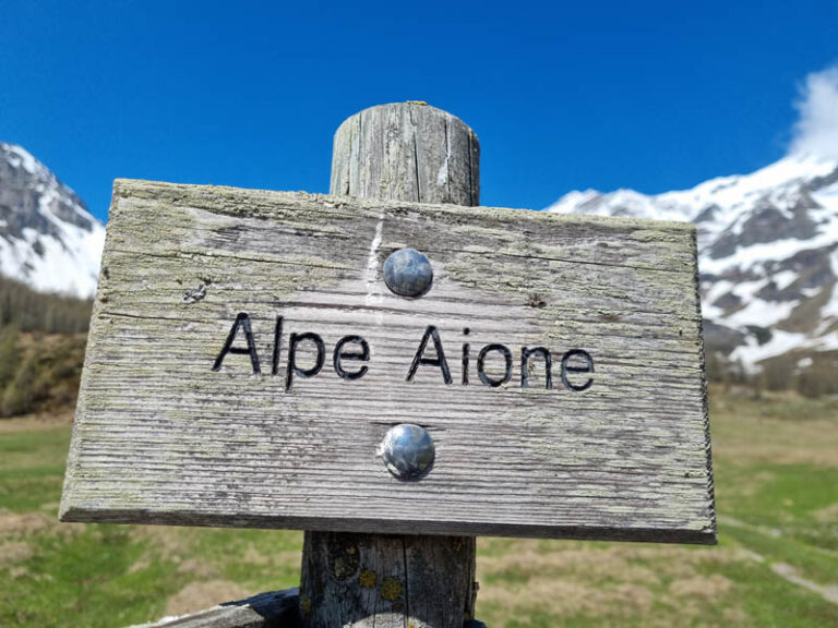 alpe aione