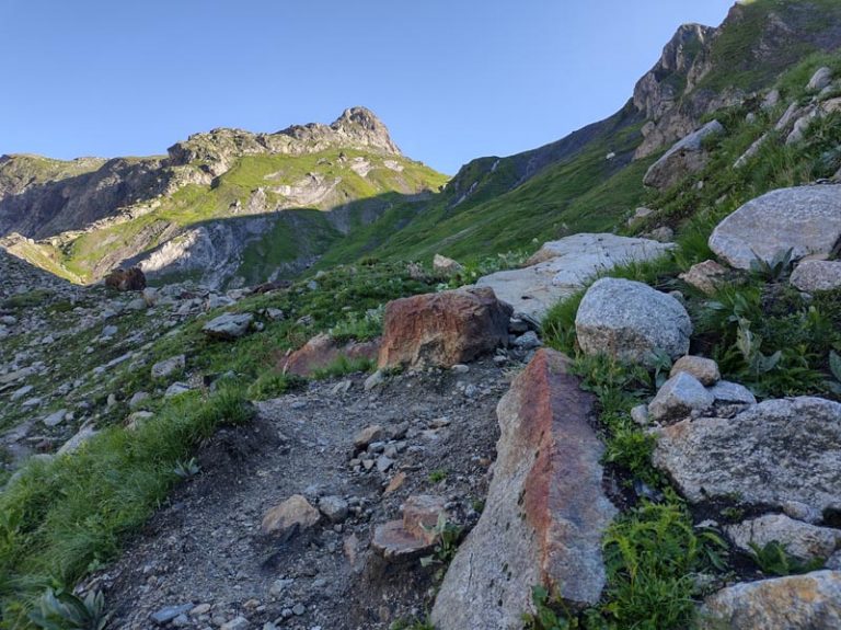 alta val ferret