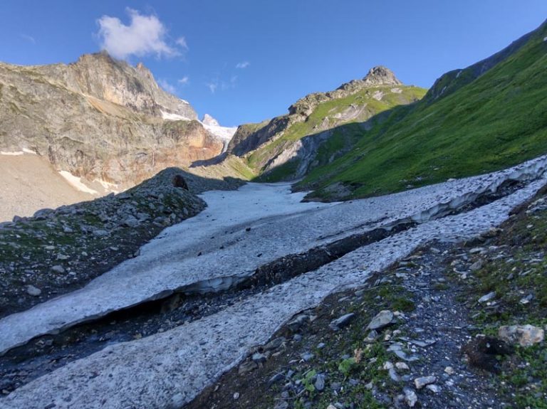 alta val ferret