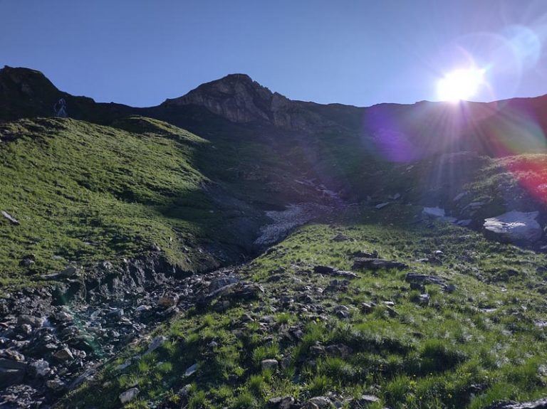 alta val ferret