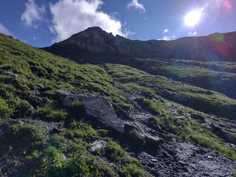 alta val ferret